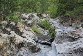 rrente Quarantore-05-08-2015 17-25-30
